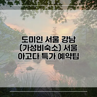 도미인 서울 강남 (가성비숙소) 서울 아고다 특가 예약팁