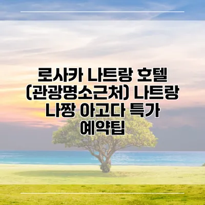 로사카 나트랑 호텔 (관광명소근처) 나트랑 나짱 아고다 특가 예약팁