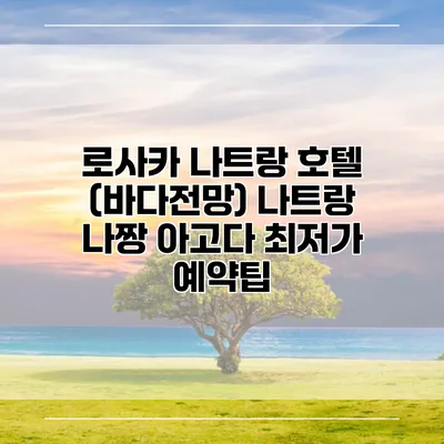 로사카 나트랑 호텔 (바다전망) 나트랑 나짱 아고다 최저가 예약팁