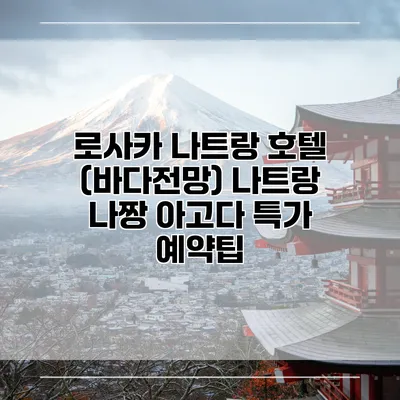 로사카 나트랑 호텔 (바다전망) 나트랑 나짱 아고다 특가 예약팁