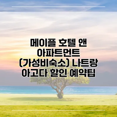 메이플 호텔 앤 아파트먼트 (가성비숙소) 나트랑 아고다 할인 예약팁