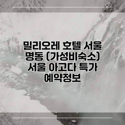 밀리오레 호텔 서울 명동 (가성비숙소) 서울 아고다 특가 예약정보