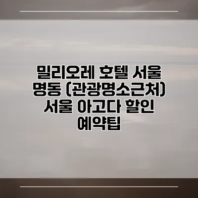 밀리오레 호텔 서울 명동 (관광명소근처) 서울 아고다 할인 예약팁