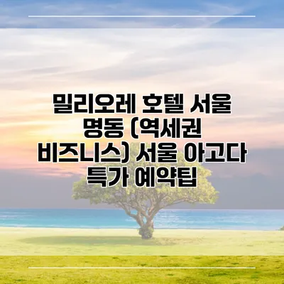 밀리오레 호텔 서울 명동 (역세권 비즈니스) 서울 아고다 특가 예약팁