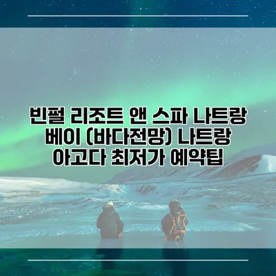 빈펄 리조트 앤 스파 나트랑 베이 (바다전망) 나트랑 아고다 최저가 예약팁