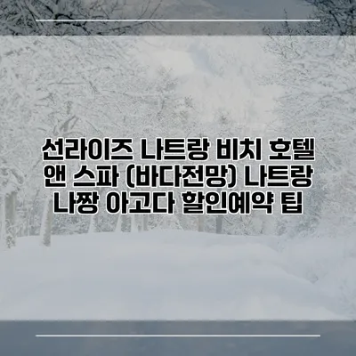 선라이즈 나트랑 비치 호텔 앤 스파 (바다전망) 나트랑 나짱 아고다 할인예약 팁