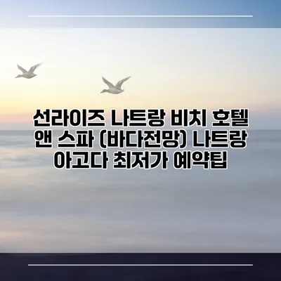선라이즈 나트랑 비치 호텔 앤 스파 (바다전망) 나트랑 아고다 최저가 예약팁
