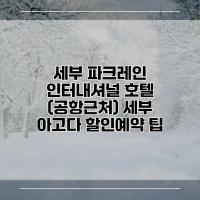 세부 파크레인 인터내셔널 호텔 (공항근처) 세부 아고다 할인예약 팁