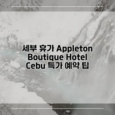 세부 휴가 Appleton Boutique Hotel Cebu 특가 예약 팁
