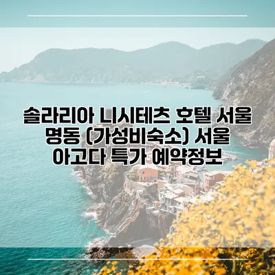 솔라리아 니시테츠 호텔 서울 명동 (가성비숙소) 서울 아고다 특가 예약정보