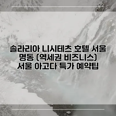 솔라리아 니시테츠 호텔 서울 명동 (역세권 비즈니스) 서울 아고다 특가 예약팁
