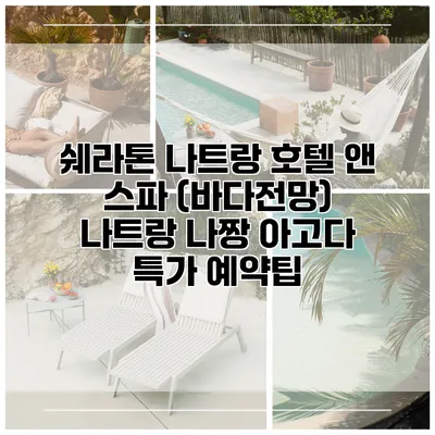쉐라톤 나트랑 호텔 앤 스파 (바다전망) 나트랑 나짱 아고다 특가 예약팁
