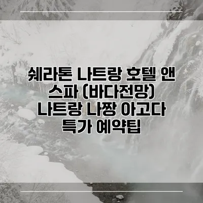 쉐라톤 나트랑 호텔 앤 스파 (바다전망) 나트랑 나짱 아고다 특가 예약팁