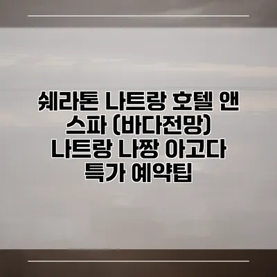 쉐라톤 나트랑 호텔 앤 스파 (바다전망) 나트랑 나짱 아고다 특가 예약팁
