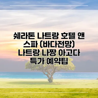 쉐라톤 나트랑 호텔 앤 스파 (바다전망) 나트랑 나짱 아고다 특가 예약팁