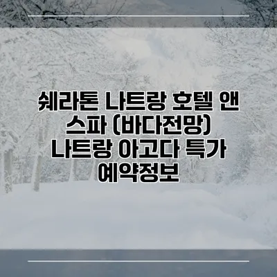 쉐라톤 나트랑 호텔 앤 스파 (바다전망) 나트랑 아고다 특가 예약정보