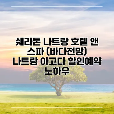 쉐라톤 나트랑 호텔 앤 스파 (바다전망) 나트랑 아고다 할인예약 노하우