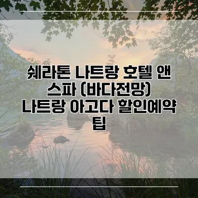 쉐라톤 나트랑 호텔 앤 스파 (바다전망) 나트랑 아고다 할인예약 팁