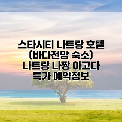스타시티 나트랑 호텔 (바다전망 숙소) 나트랑 나짱 아고다 특가 예약정보