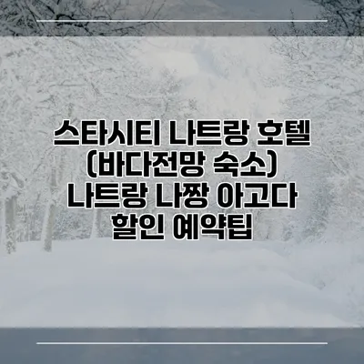 스타시티 나트랑 호텔 (바다전망 숙소) 나트랑 나짱 아고다 할인 예약팁