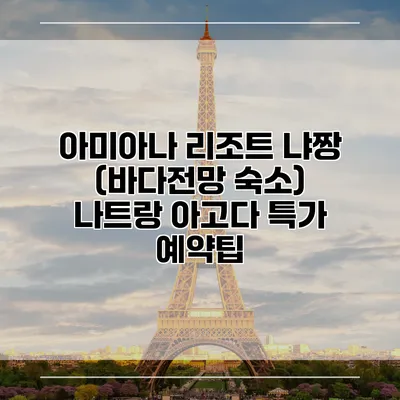 아미아나 리조트 냐짱 (바다전망 숙소) 나트랑 아고다 특가 예약팁