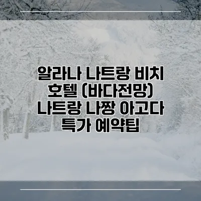 알라나 나트랑 비치 호텔 (바다전망) 나트랑 나짱 아고다 특가 예약팁