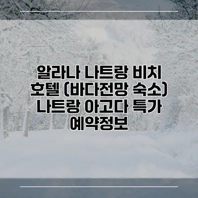 알라나 나트랑 비치 호텔 (바다전망 숙소) 나트랑 아고다 특가 예약정보