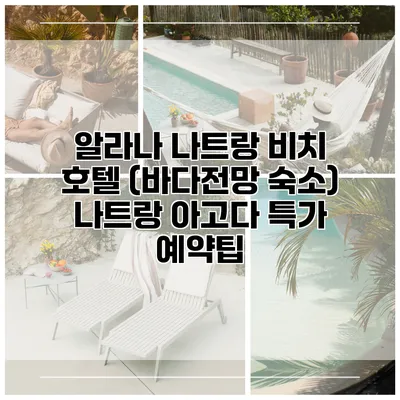 알라나 나트랑 비치 호텔 (바다전망 숙소) 나트랑 아고다 특가 예약팁