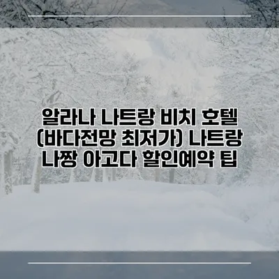 알라나 나트랑 비치 호텔 (바다전망 최저가) 나트랑 나짱 아고다 할인예약 팁