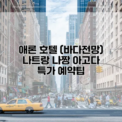 애론 호텔 (바다전망) 나트랑 나짱 아고다 특가 예약팁