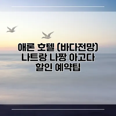 애론 호텔 (바다전망) 나트랑 나짱 아고다 할인 예약팁