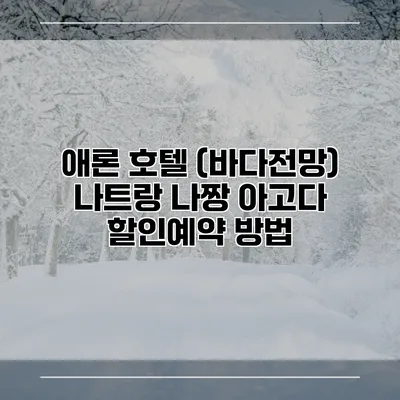 애론 호텔 (바다전망) 나트랑 나짱 아고다 할인예약 방법