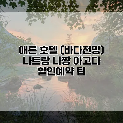 애론 호텔 (바다전망) 나트랑 나짱 아고다 할인예약 팁