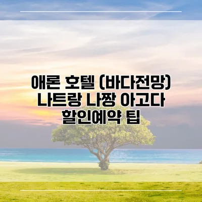애론 호텔 (바다전망) 나트랑 나짱 아고다 할인예약 팁