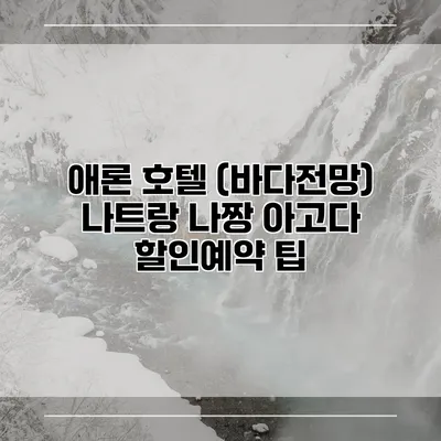애론 호텔 (바다전망) 나트랑 나짱 아고다 할인예약 팁