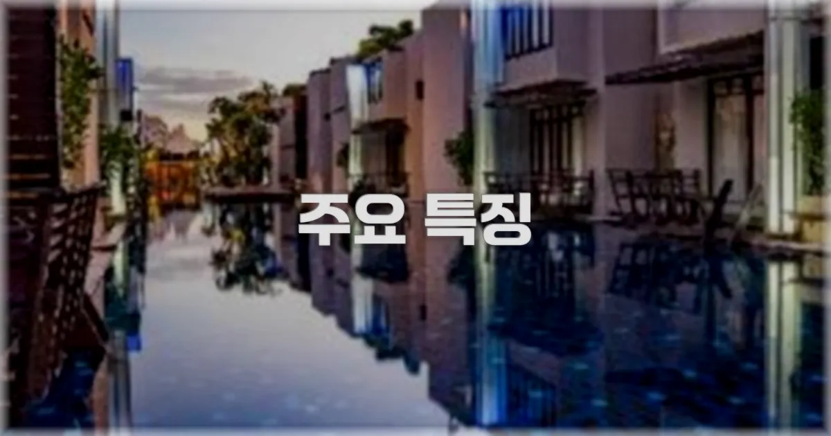 ✨ 주요 특징