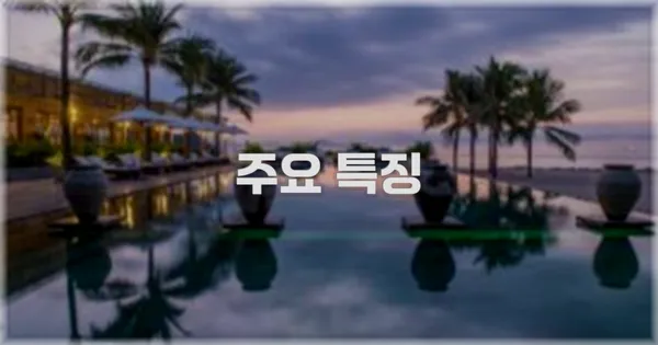 ✨ 주요 특징