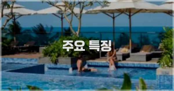 ✨ 주요 특징