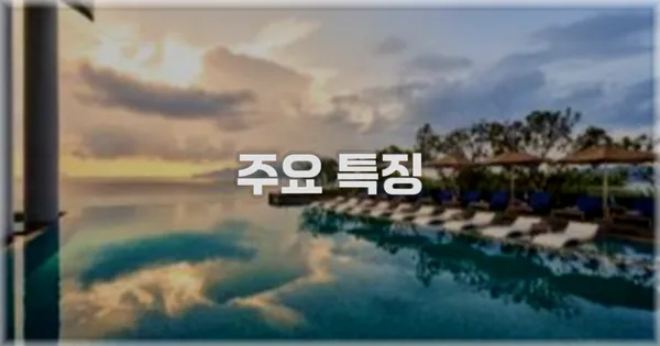 ✨ 주요 특징