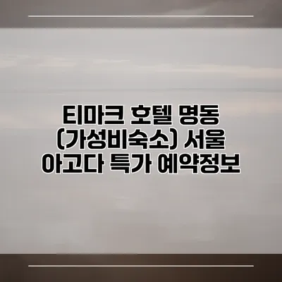 티마크 호텔 명동 (가성비숙소) 서울 아고다 특가 예약정보