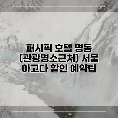 퍼시픽 호텔 명동 (관광명소근처) 서울 아고다 할인 예약팁