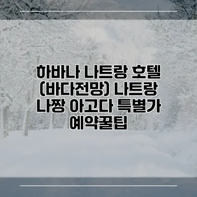 하바나 나트랑 호텔 (바다전망) 나트랑 나짱 아고다 특별가 예약꿀팁