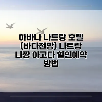 하바나 나트랑 호텔 (바다전망) 나트랑 나짱 아고다 할인예약 방법