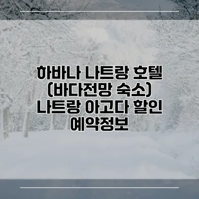하바나 나트랑 호텔 (바다전망 숙소) 나트랑 아고다 할인 예약정보