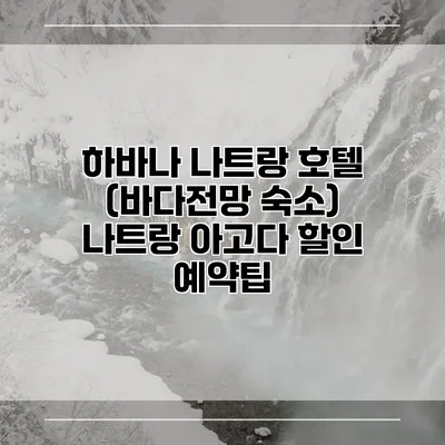 하바나 나트랑 호텔 (바다전망 숙소) 나트랑 아고다 할인 예약팁