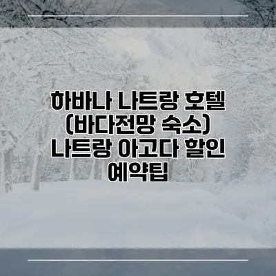 하바나 나트랑 호텔 (바다전망 숙소) 나트랑 아고다 할인 예약팁
