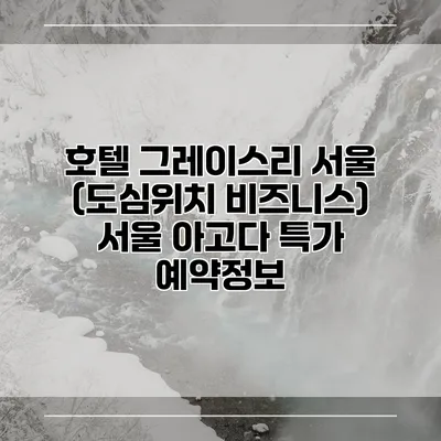 호텔 그레이스리 서울 (도심위치 비즈니스) 서울 아고다 특가 예약정보