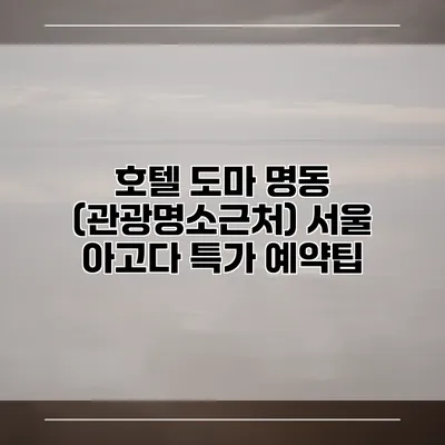 호텔 도마 명동 (관광명소근처) 서울 아고다 특가 예약팁
