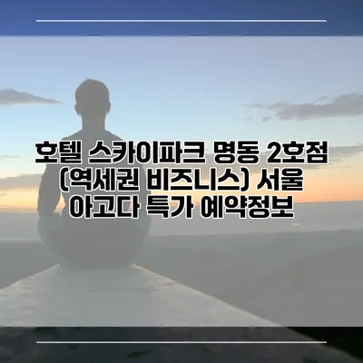 호텔 스카이파크 명동 2호점 (역세권 비즈니스) 서울 아고다 특가 예약정보