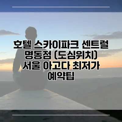 호텔 스카이파크 센트럴 명동점 (도심위치) 서울 아고다 최저가 예약팁